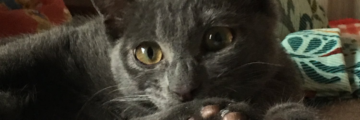 mic22ninja's profile banner image