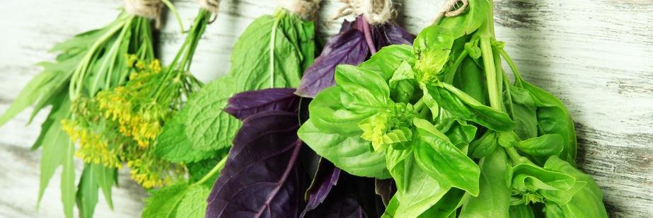 Samantha Waterhouse banner