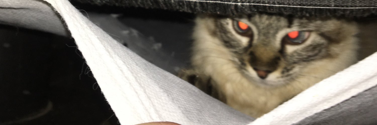 gabrelcqt's profile banner image
