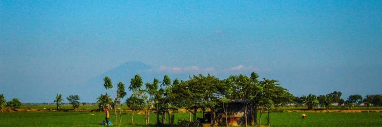 hsannali's profile banner image