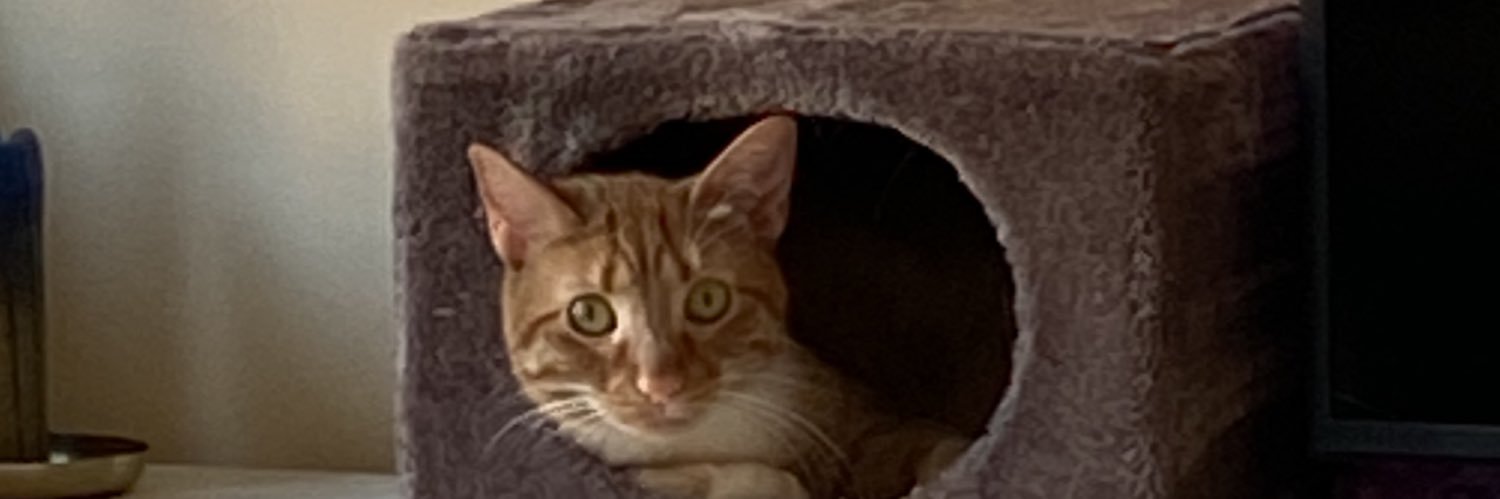 Batmandel's profile banner image