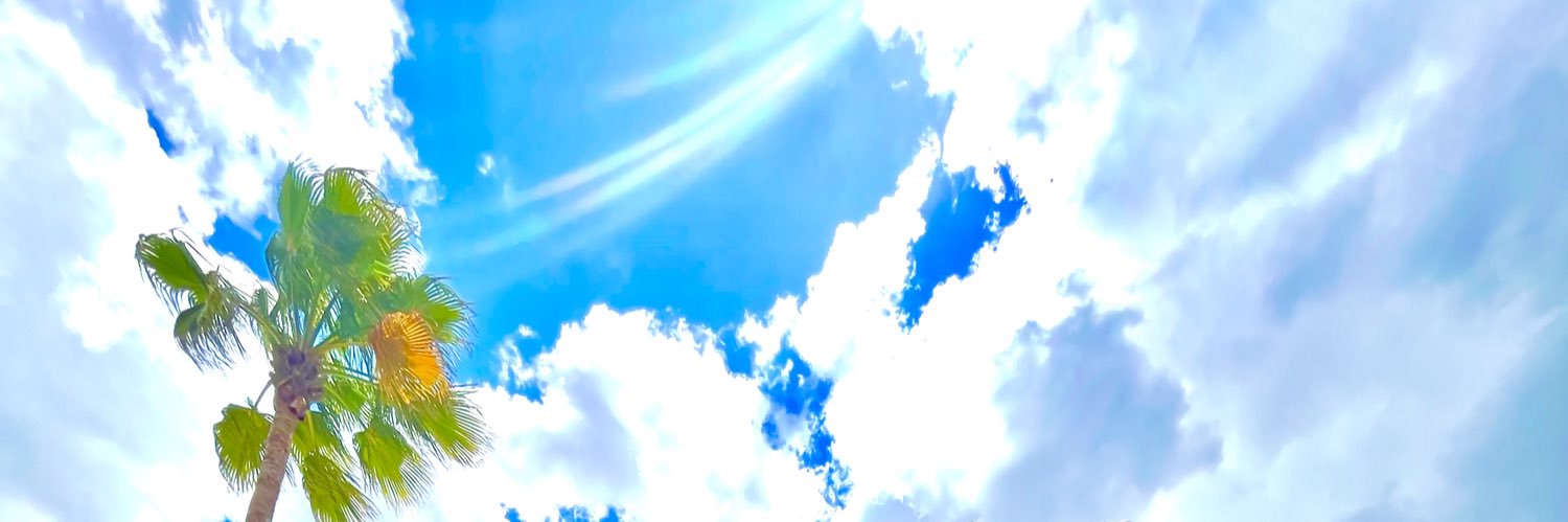 DianaSSR's profile banner image