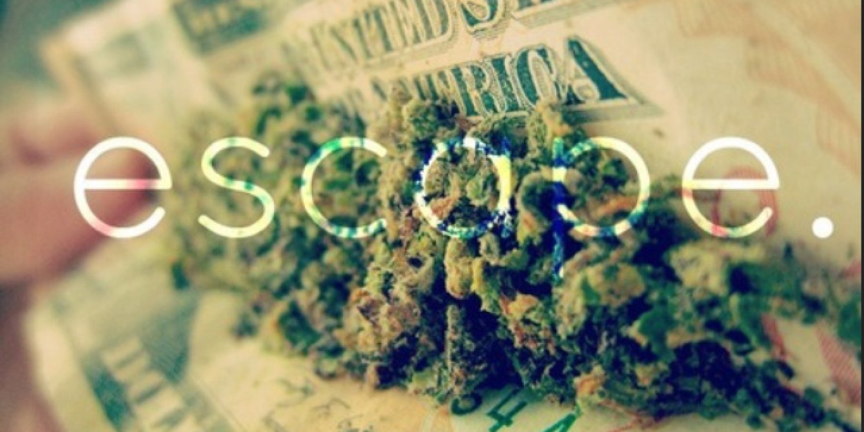 ToxicShockWeed's profile banner image