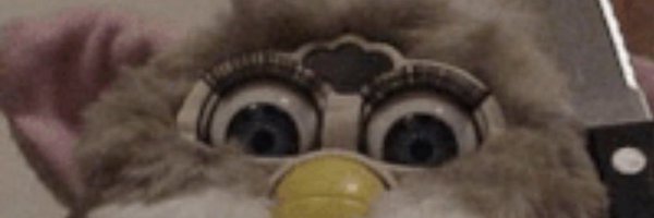 tinyjaguar Profile Banner