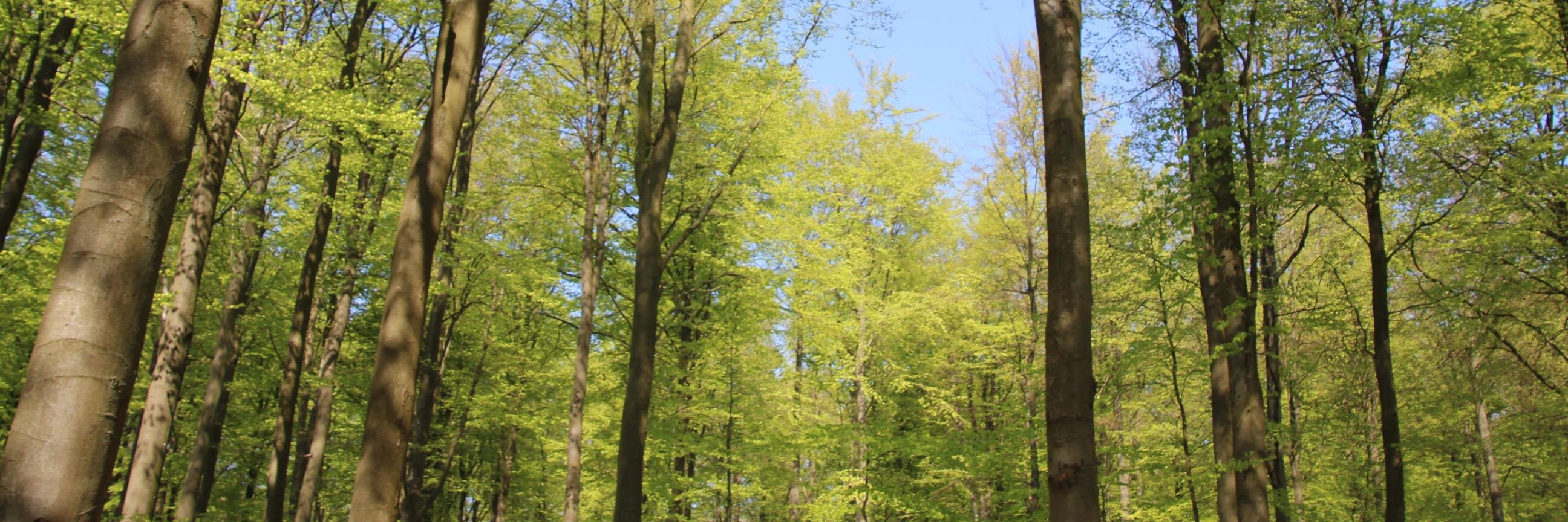ahbo60's profile banner image