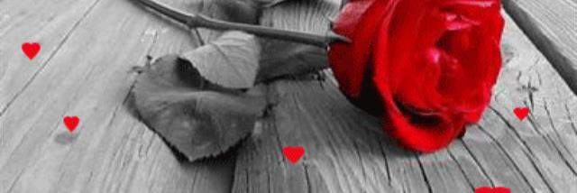 ♧ ♧ banner