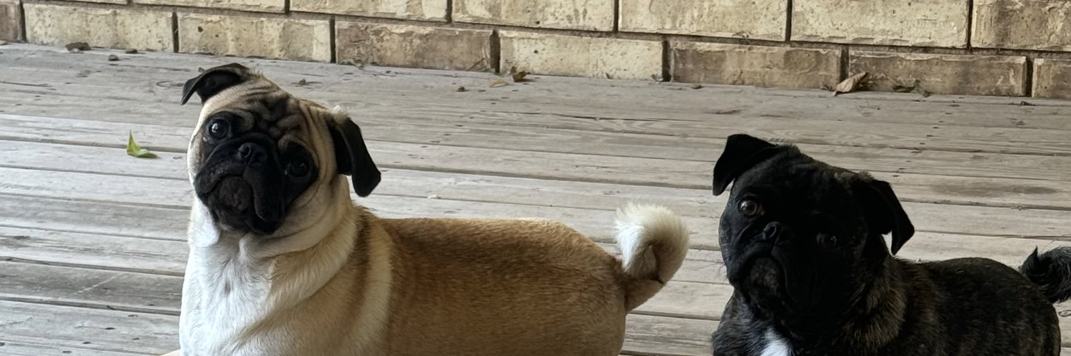 CaleyJenkins's profile banner image