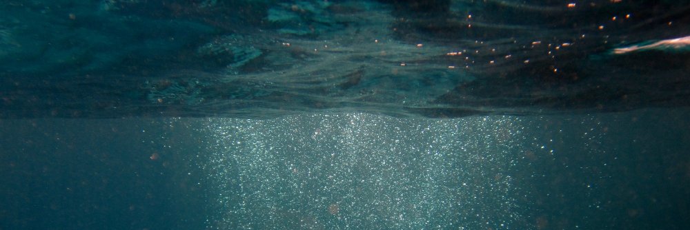 Noell_ia's profile banner image