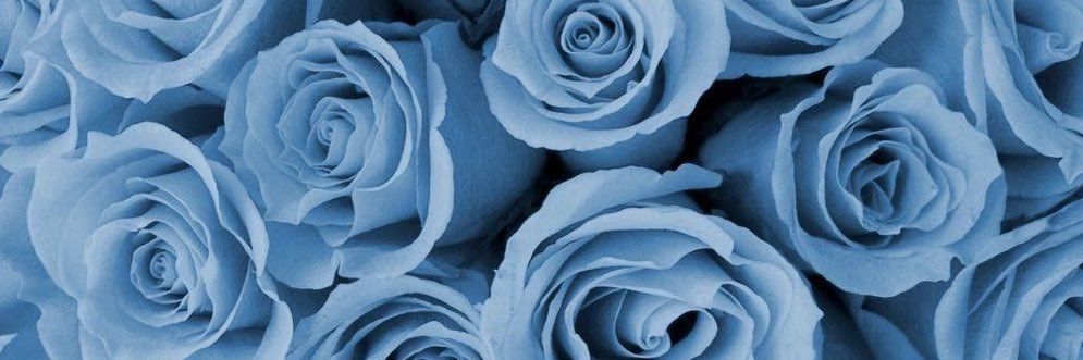 Eman_310_'s profile banner image
