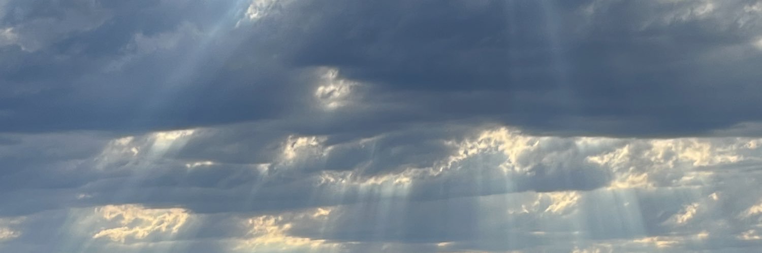 cinnijay's profile banner image