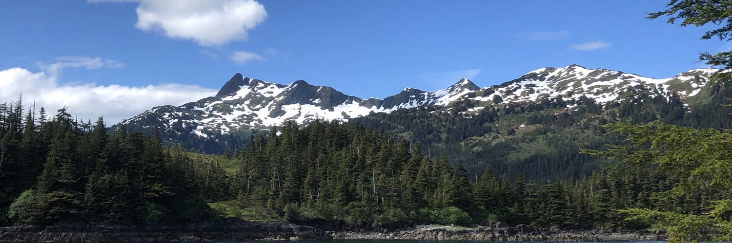 FutureStepDadd's profile banner image