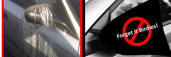 MirrorMateMitt's profile banner image