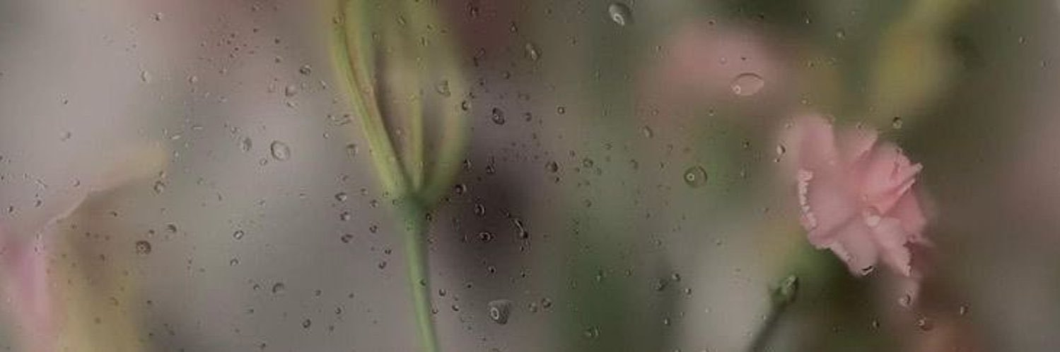‎‏ً banner