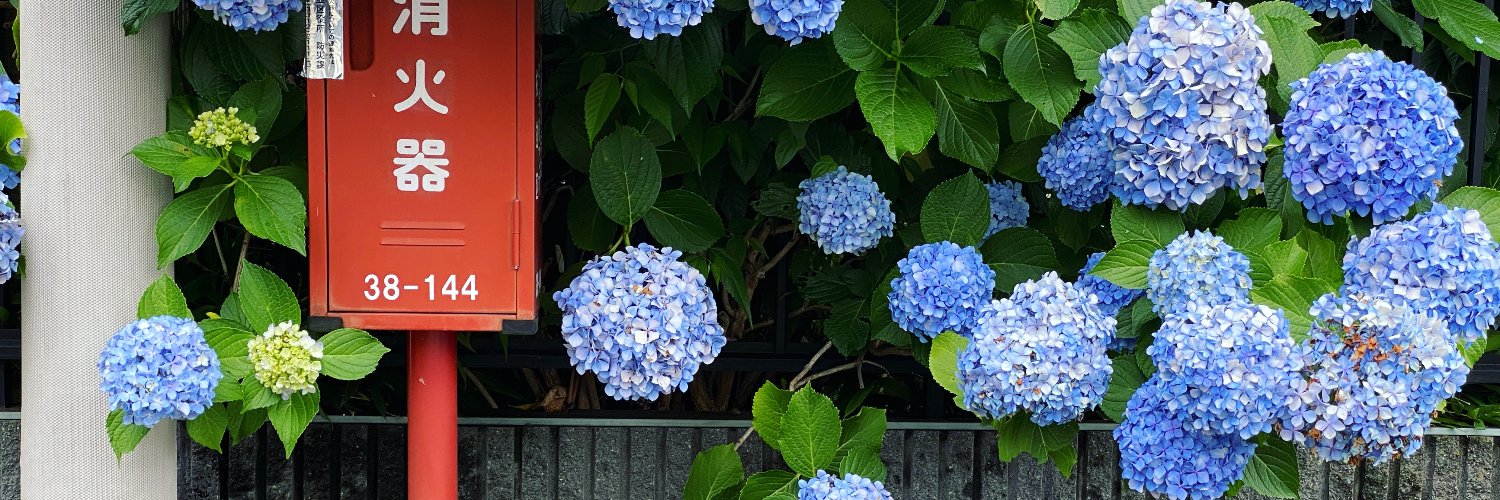 ene__im's profile banner image