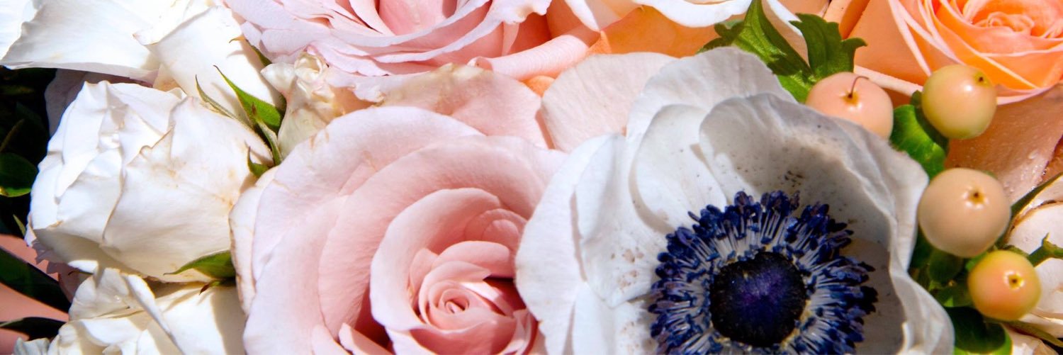 Serendipity_Tor's profile banner image