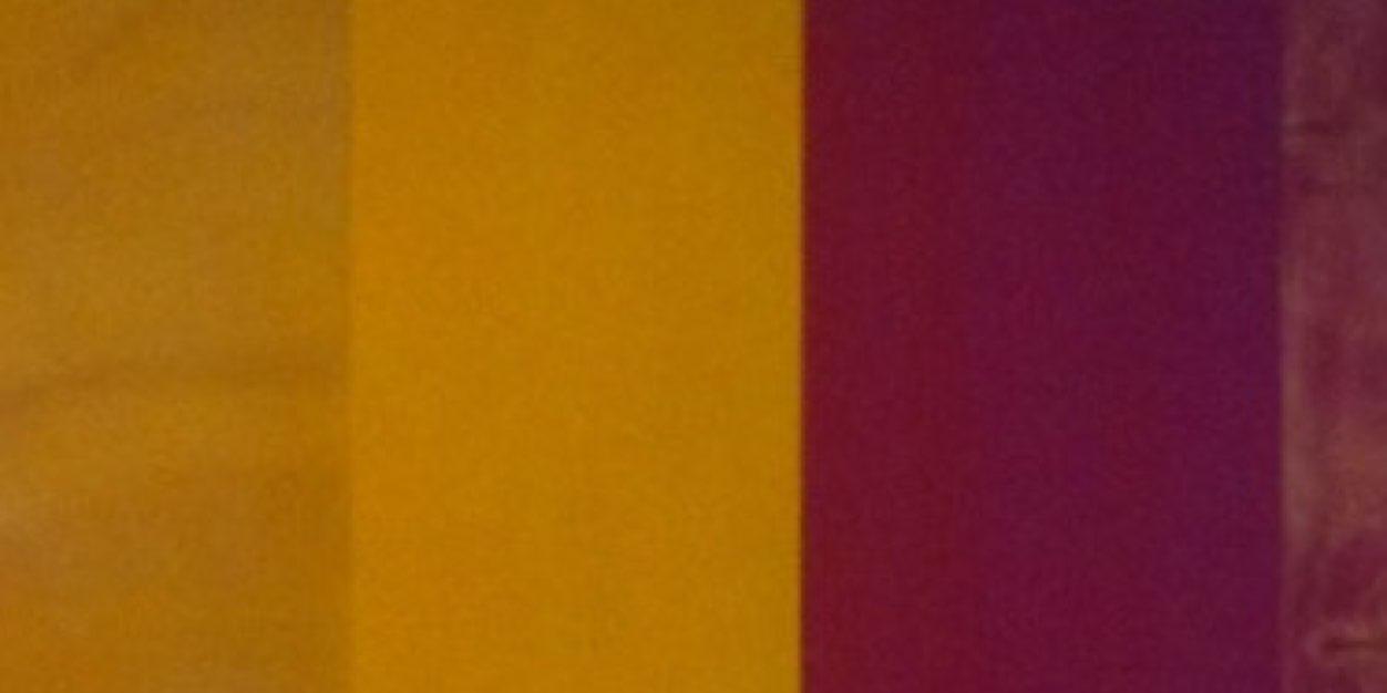 Colleen Sheen banner