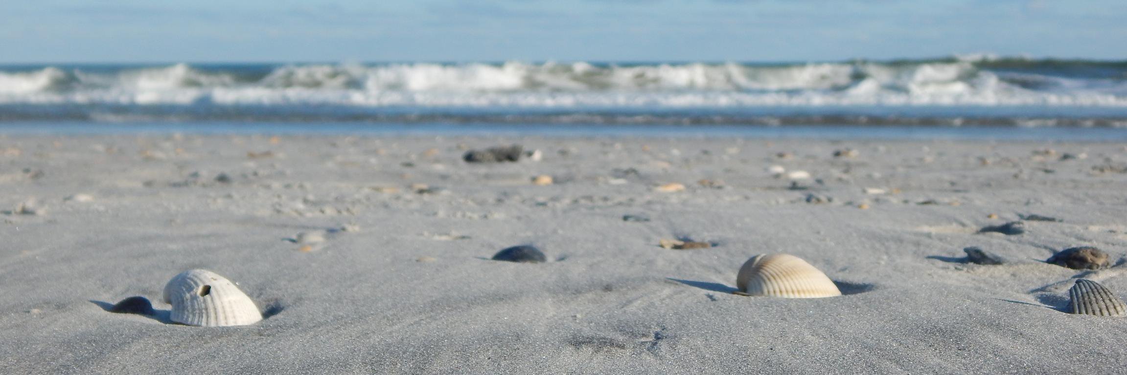 madeofdirt's profile banner image