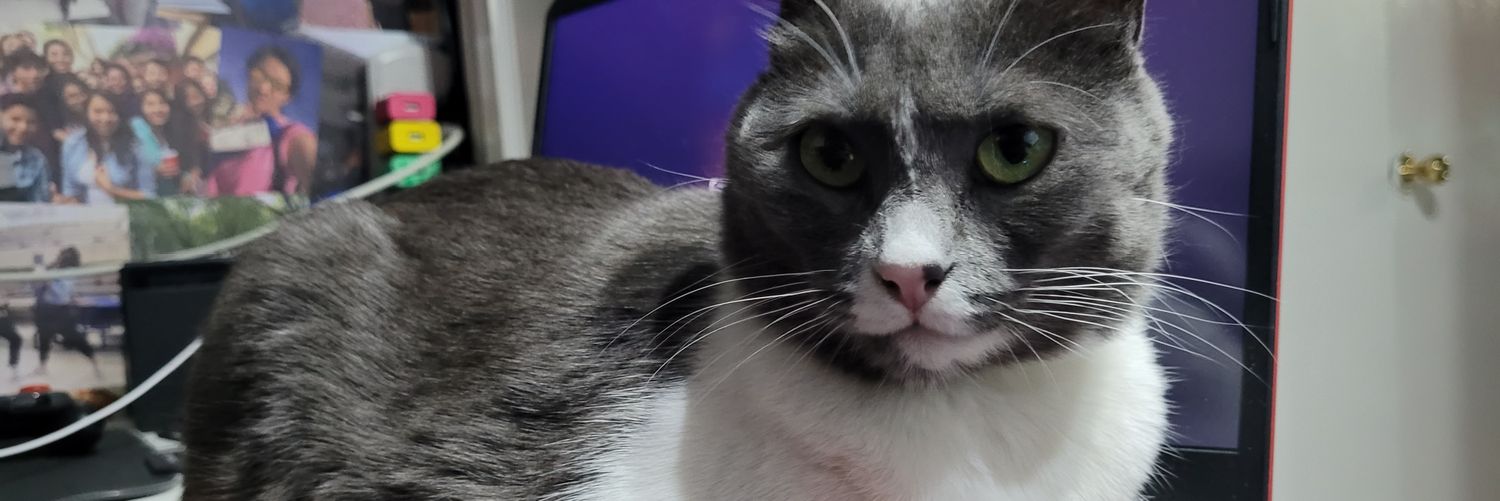 MilckFelipe's profile banner image