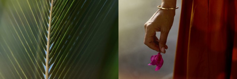 ZoetryResorts's profile banner image