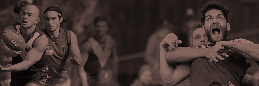 Old Ivanhoe Grammarians Football Club banner