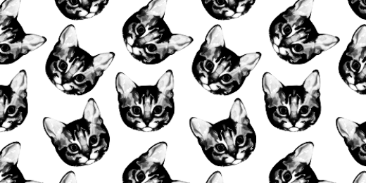 nikkvg's profile banner image