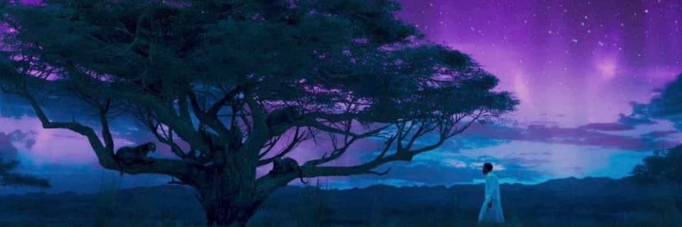 nelisjane's profile banner image