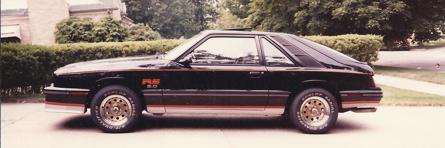 Warren Paglow banner