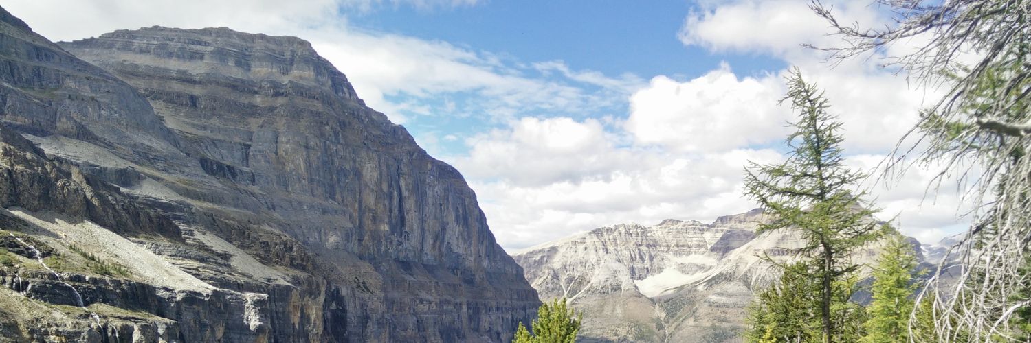 Dan Cunnington banner