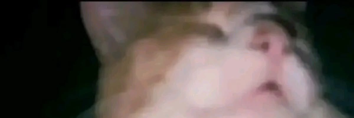 𝘥𝘢𝘦𝘳𝘰𝘯 pasivo banner