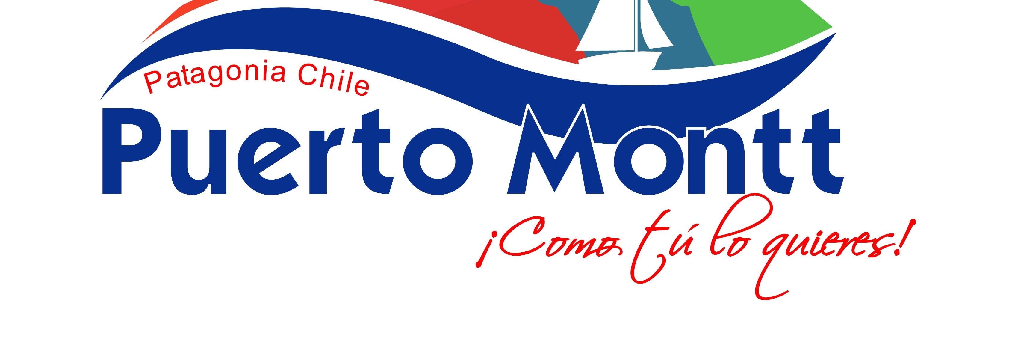 DIDECOPTOMONTT's profile banner image