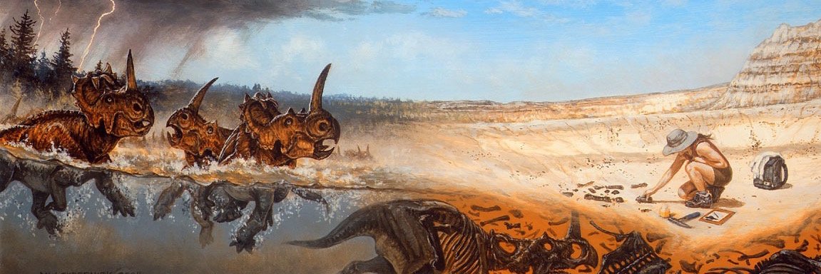 Judith Williams banner