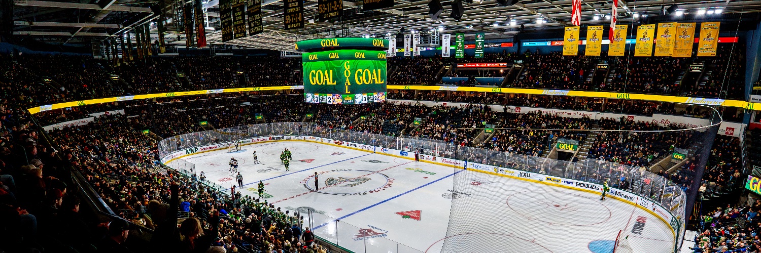 London Knights banner