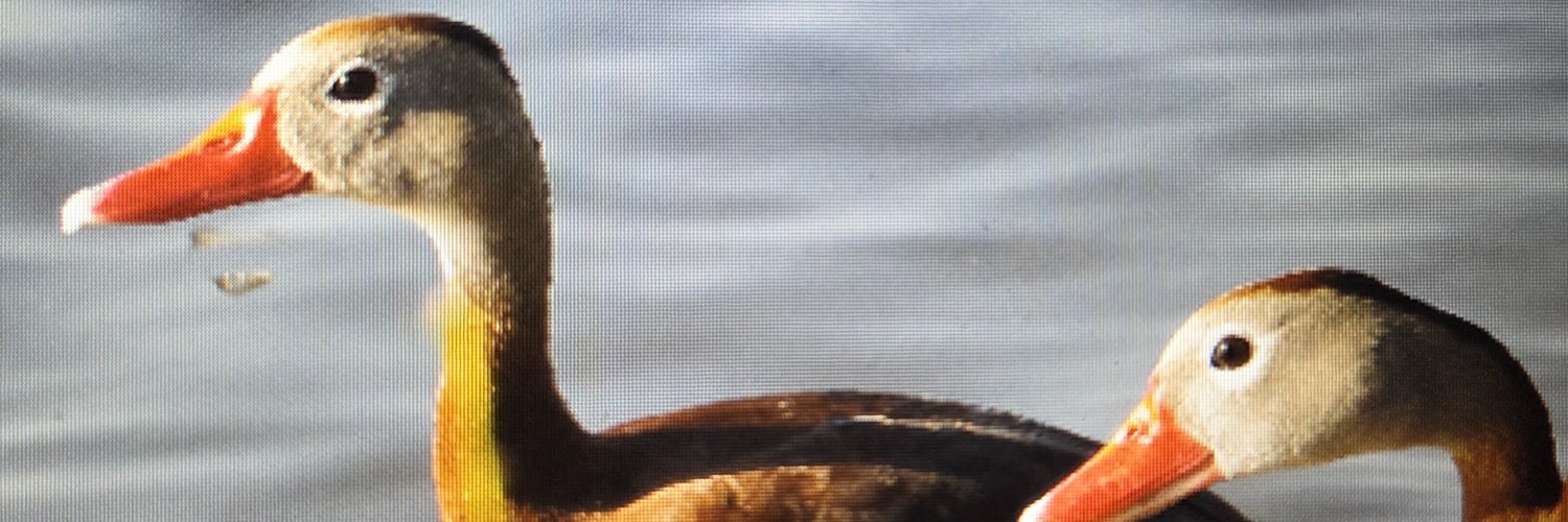 KesslerDale's profile banner image
