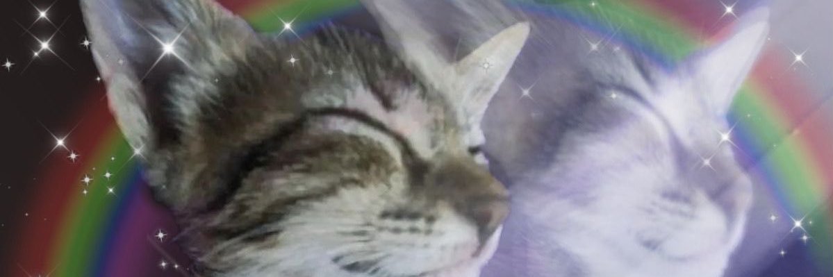 vraqqueen's profile banner image
