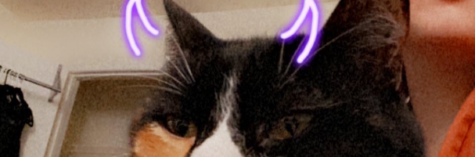 ClearlyUnhinged's profile banner image