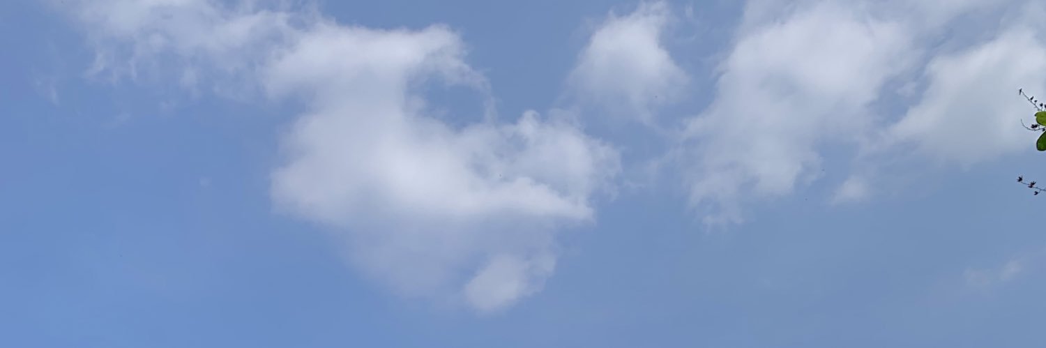 istichhh's profile banner image