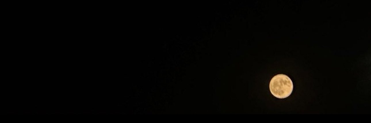 mo123lii's profile banner image