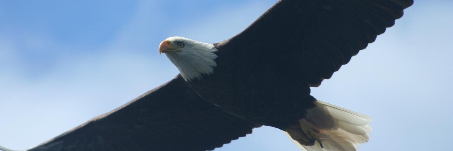 cwcllc's profile banner image