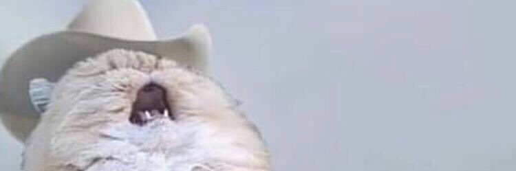 AlphaCor3's profile banner image