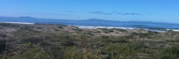 Ajay460 Profile Banner