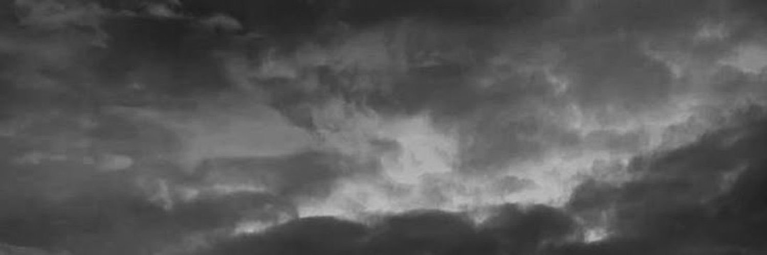 𐚁 banner