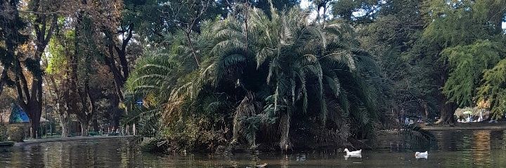BranVillalba's profile banner image