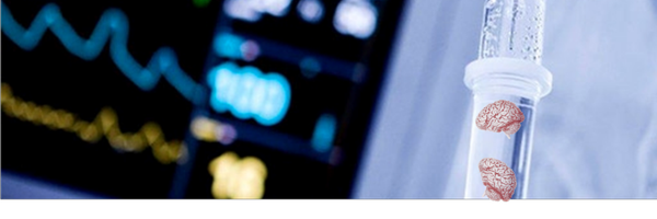 Sol_FerGo Profile Banner