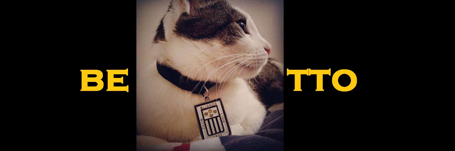 Fashionista1k desde New York 🗽 banner