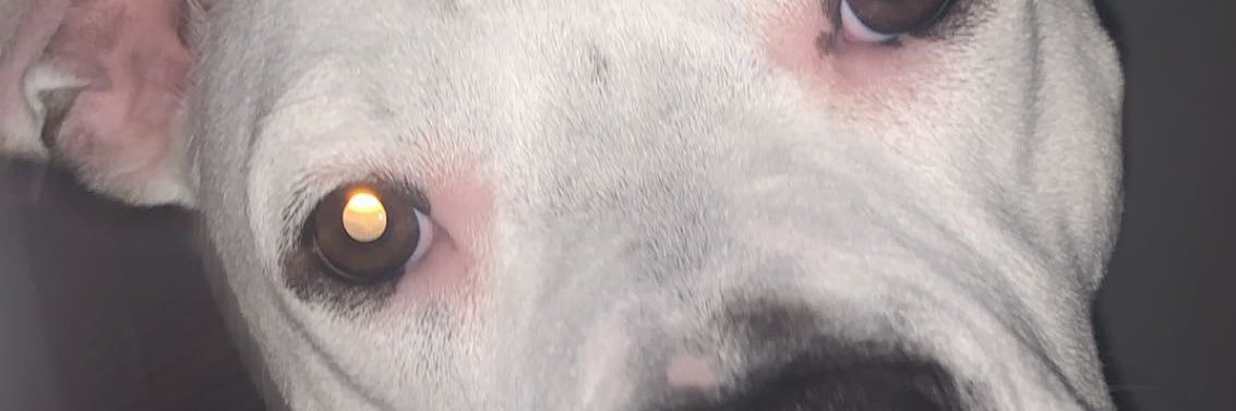 this_is_landon's profile banner image
