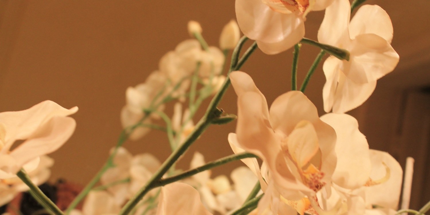 m_iss12's profile banner image