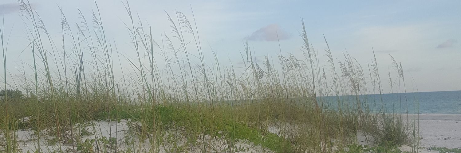 lauraf422's profile banner image