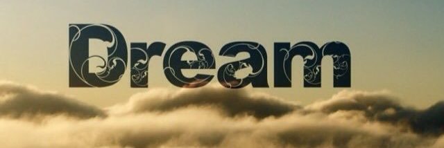 Tatum Terry banner