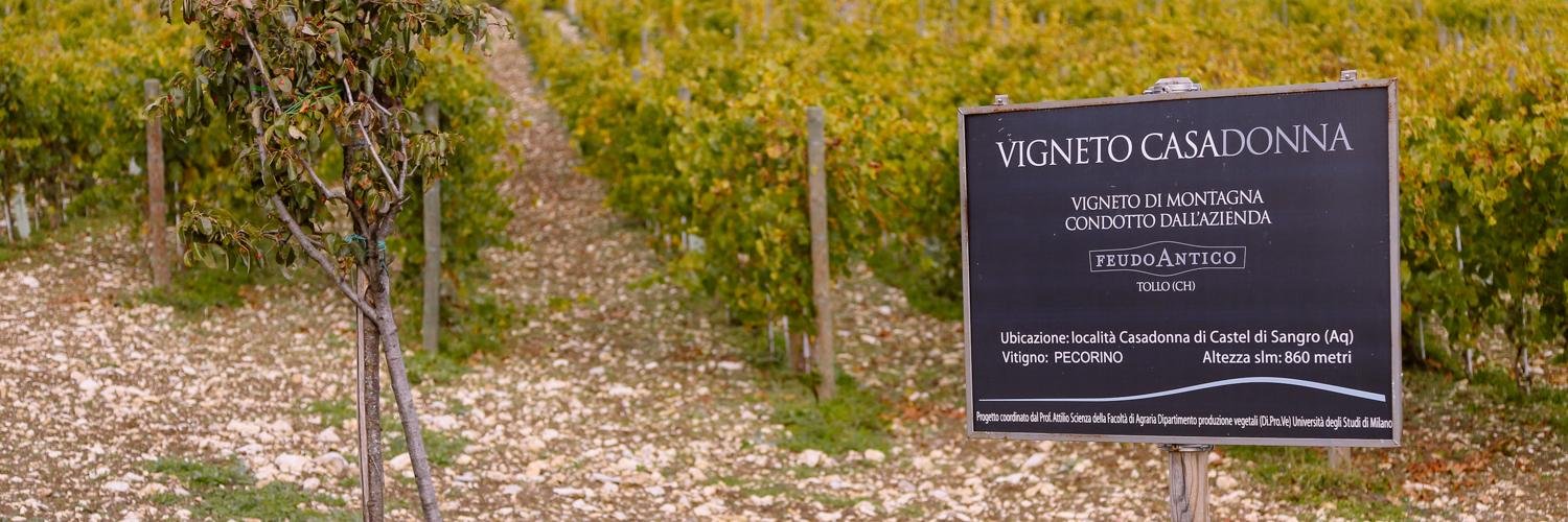 Feudoantico's profile banner image