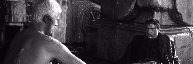 CaleArroway's profile banner image